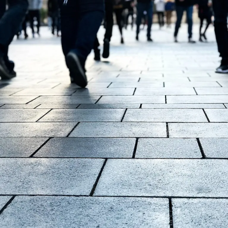 How to streamline visit plan management for Indian office managers